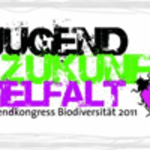 Logo von Jugend-Zukunft-Vielfalt